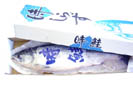 汐ときしらず鮭(定置網）