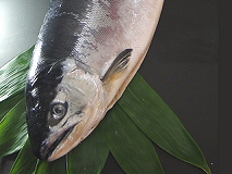 天然汐べに鮭（沖獲り極上）