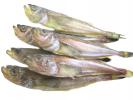 丸干し子持ちハタハタ　