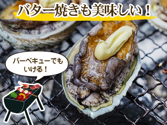 お刺身用蝦夷あわび