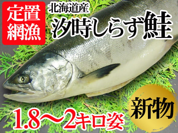 極上の時しらず