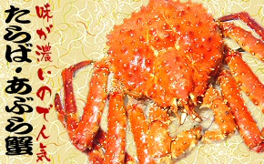 ����Х��ˡ����֥饬��