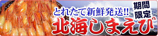 北海しまえび