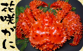 �ֺ餬��