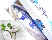 ときしらず鮭セット