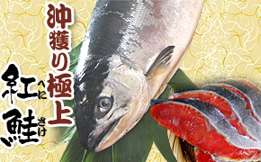 沖獲り極上紅鮭