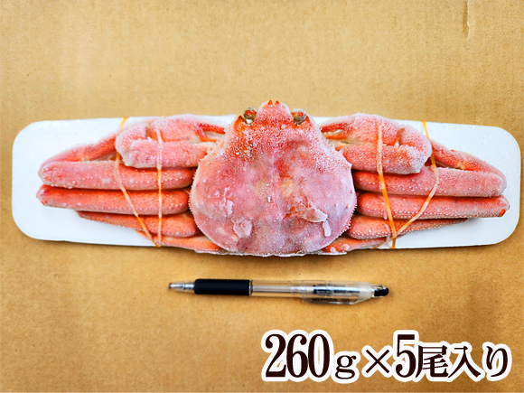 北海道産オオズワイ蟹姿（ボイル・冷凍）260グラム×5ハイ