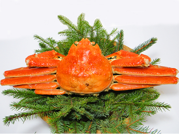 【限定】ボイルずわい蟹姿大サイズ900グラム