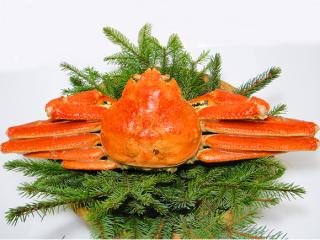 【限定】ボイルずわい蟹姿大サイズ900グラム