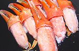 ボイルずわい蟹爪を通販でお取り寄せ