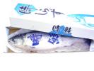 北海道産汐ときしらず鮭