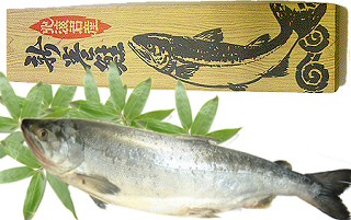 北海道産新巻鮭（オス）3～3.3キロ前後
