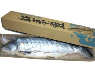 【決算】北海道産新巻鮭切り身姿造りを通販でお取り寄せ