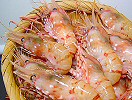 ぼたんえび（中サイズ）を通販でお取り寄せ