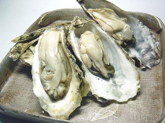 厚岸産とれたて活牡蠣（M）20個