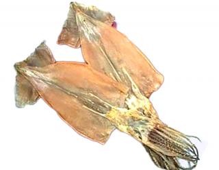 干しするめの通販 お取り寄せ 北の魚屋さん