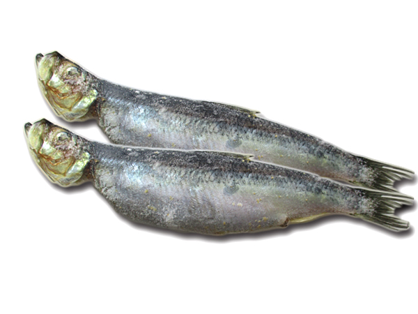 丸干しにしん 数の子入り の通販 お取り寄せ 北の魚屋さん 丸干しにしん 数の子入り の通販 お取り寄せ 北の魚屋さん