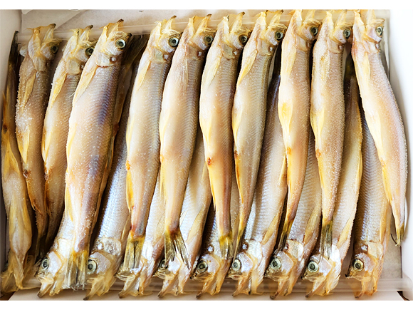 北海道産干ししゃも（メス）20尾