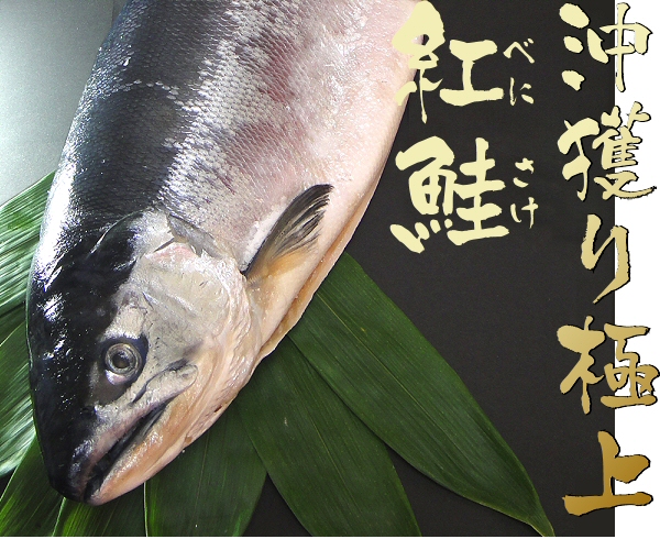 紅鮭の中でも最高級の沖獲り