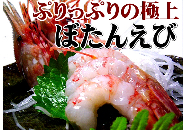 ぼたんえび ほたて刺身セットの通販 お取り寄せ 北の魚屋さん
