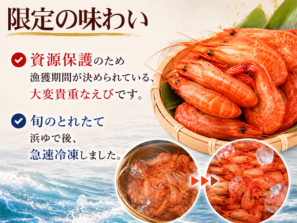 北海しまえび特売