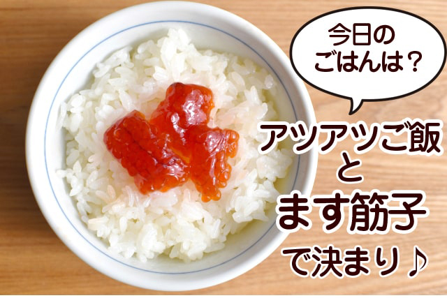 ます筋子 塩 の通販 お取り寄せ 北の魚屋さん ます筋子 塩 の通販 お取り寄せ 北の魚屋さん