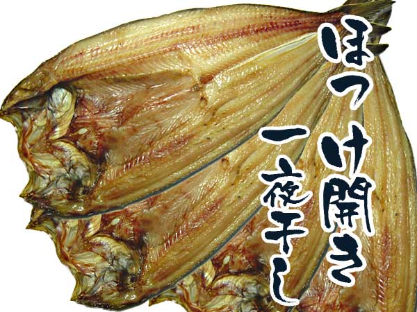 特売 ほっけの開き小サイズの通販 お取り寄せ 北の魚屋さん