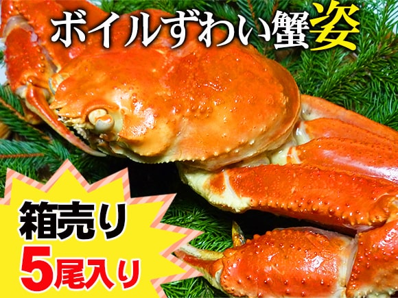 ズワイ蟹