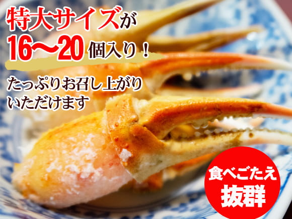 ズワイ蟹