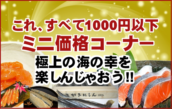 ミニ価格コーナー