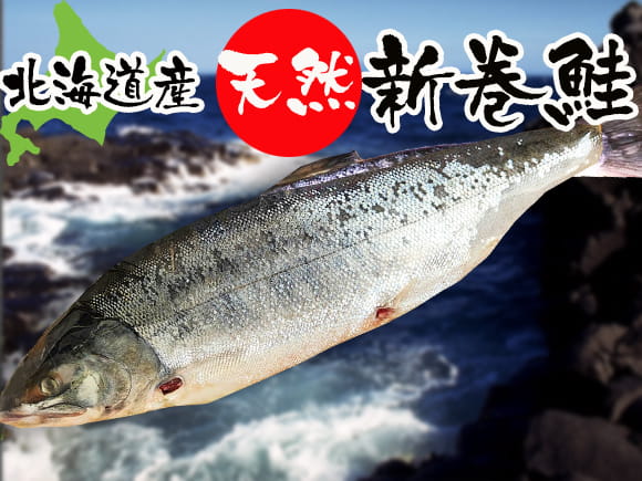 オホーツク産新巻鮭