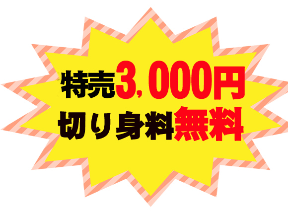 鮭の切り身