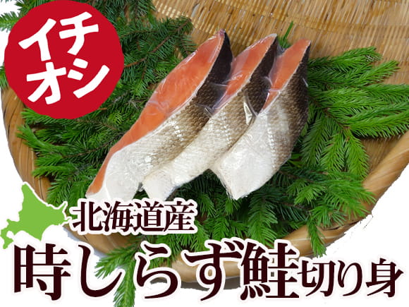 ときしらず鮭１尾姿