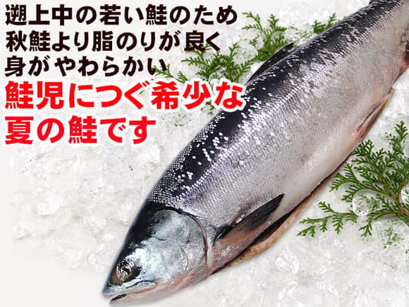 極上の時しらず