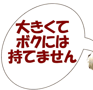 大きすぎてボクには持てません