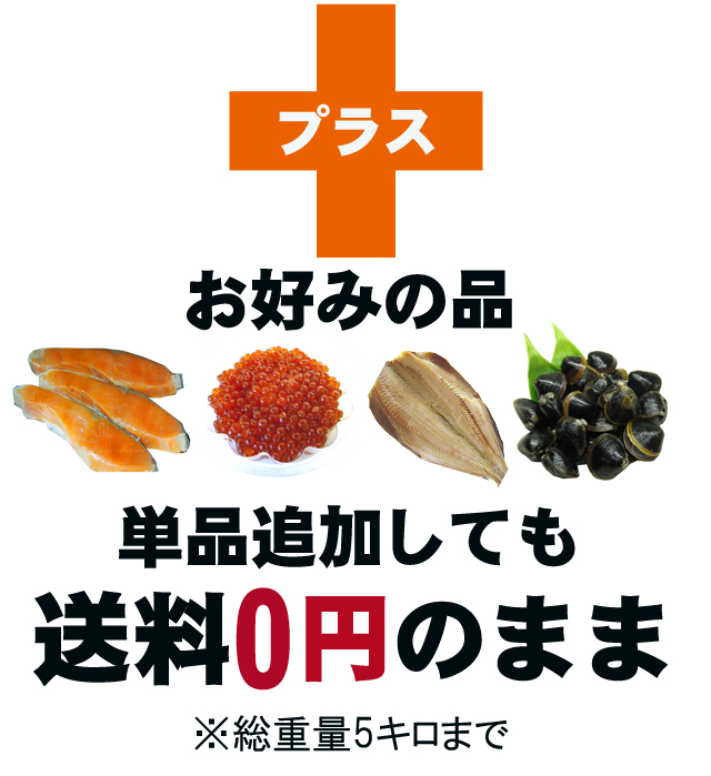 送料込みセット