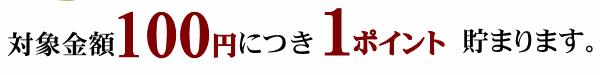 対象金額100円につき1ポイント貯まります。