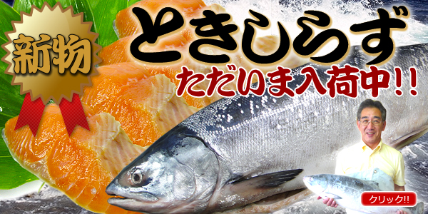 ときしらず（新物入荷!!）