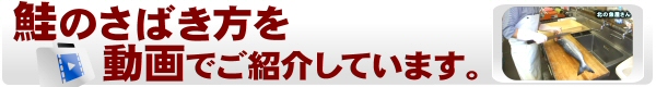 鮭のさばき方を動画で紹介中