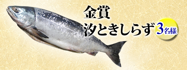 北の魚屋さん オンラインショップ開店１４周年祭