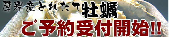 北海道厚岸産牡蠣貝