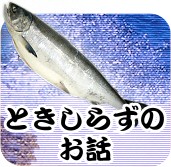 ときしらずのお話